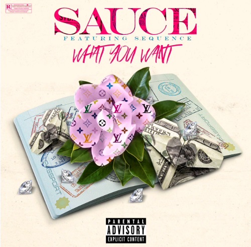 [Video] Sauce – What You Want feat. Sequence @Saucedot910