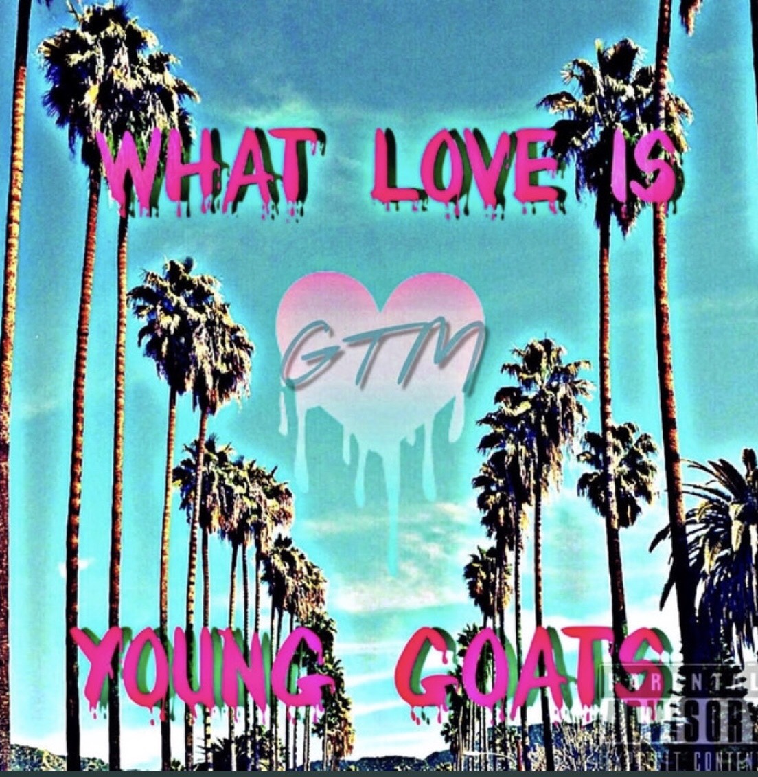 Young Goats – What Love Is