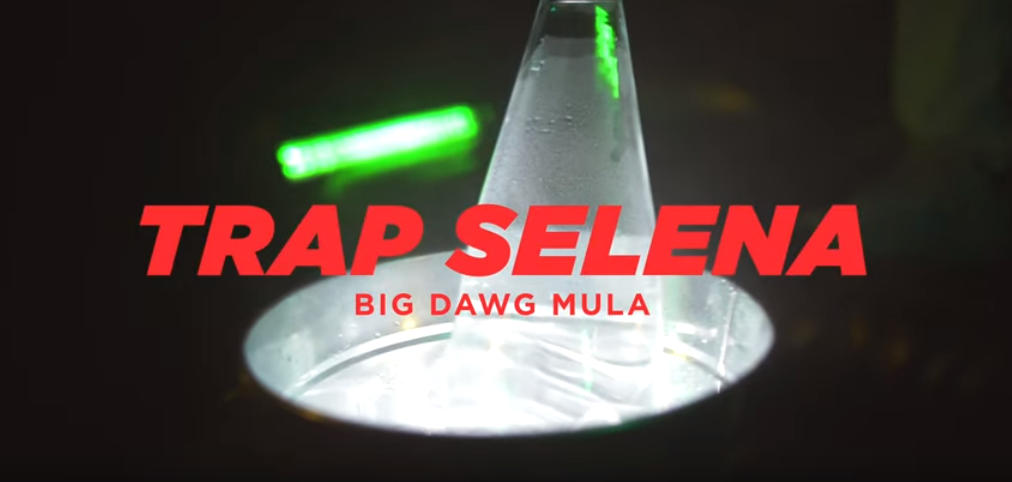 Big Dawg Mula -Trap Selena | @bigdawgmula