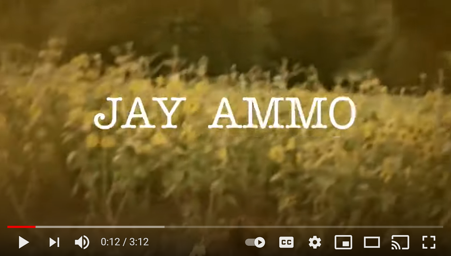 [Video] Jay Ammo – Honest
