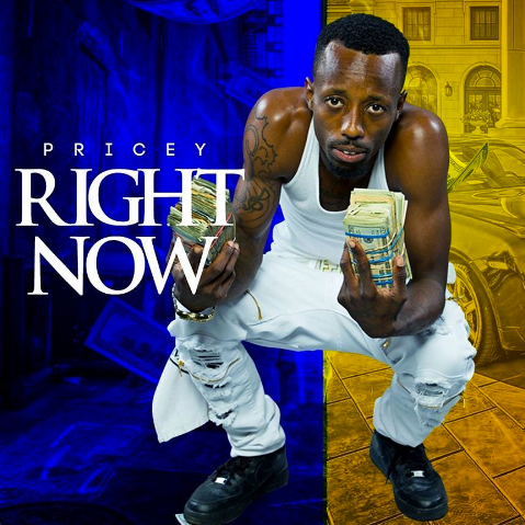 [Single] Pricey – Right Now @streetunity_p
