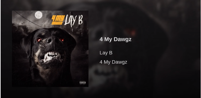 New Music! Lay B “4 My Dawgz” @LayB11